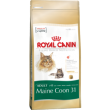Royal Canin Maine Coon 31 kassitoit, 4 kg